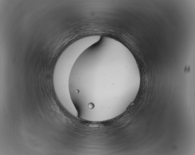 X0000114440415200911131520