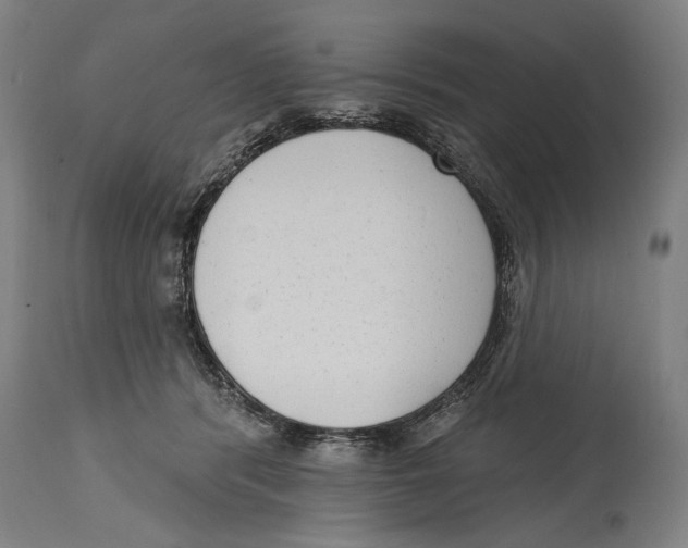 X0000114440416200911131520
