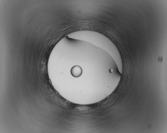 X0000114440417200911131520