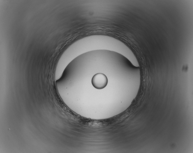 X0000114440419200911131520