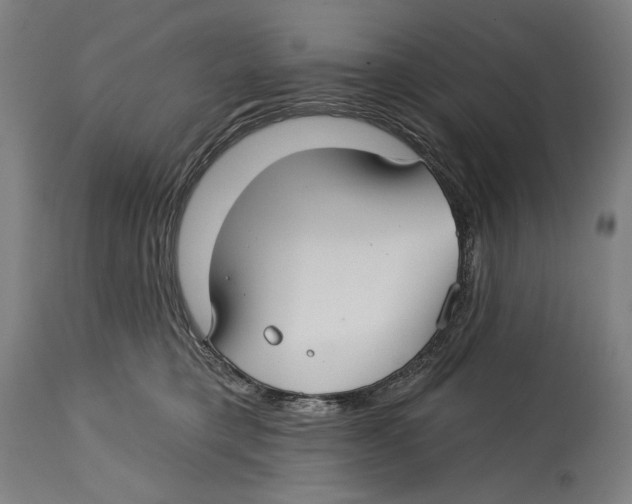 X0000114440421200911131520
