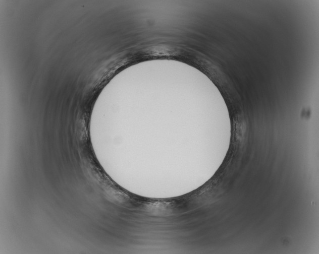 X0000114440422200911131520