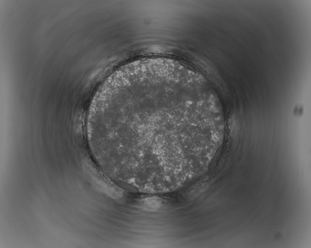 X0000114440423200911131520