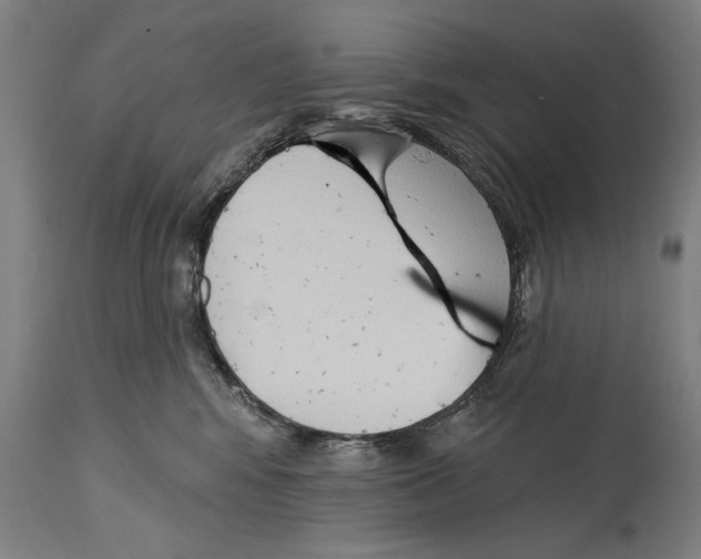 X0000114440424200911131520