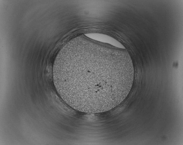 X0000114440425200911131520