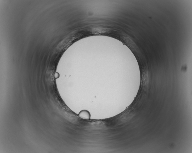 X0000114440426200911131520