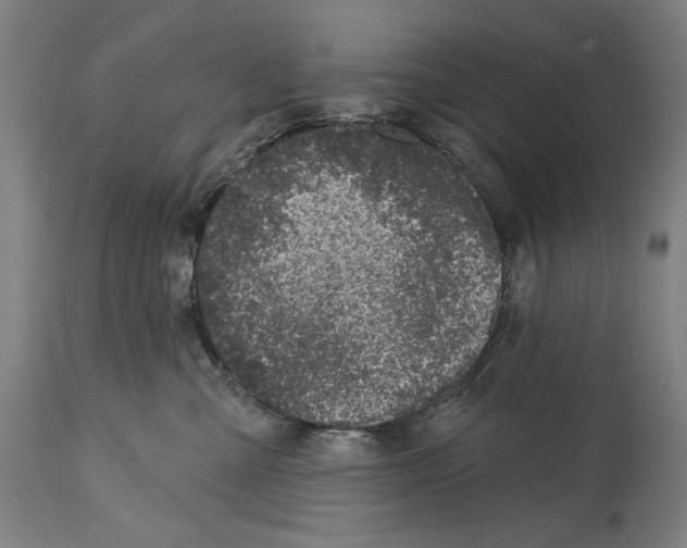 X0000114440427200911131520