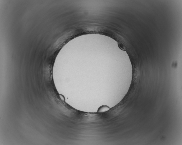 X0000114440428200911131520