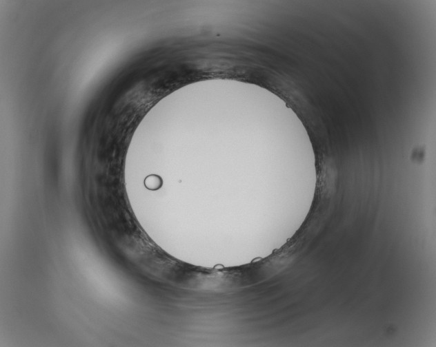 X0000114440430200911131520