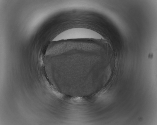 X0000114440431200911131520