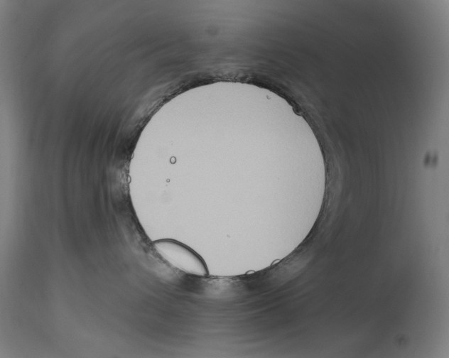 X0000114440432200911131520