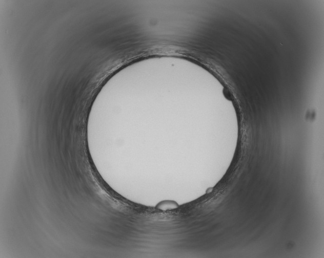 X0000114440433200911131519