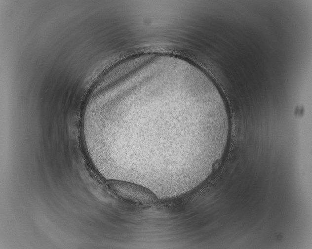 X0000114440434200911131519