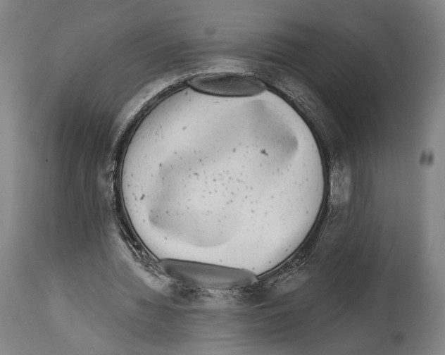 X0000114440436200911131519