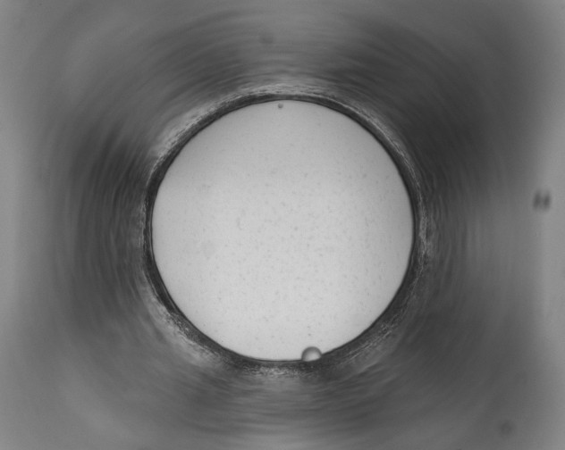 X0000114440437200911131519