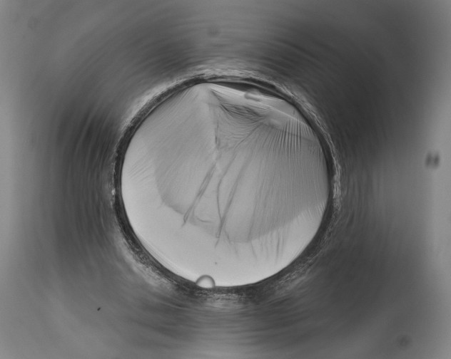 X0000114440438200911131519