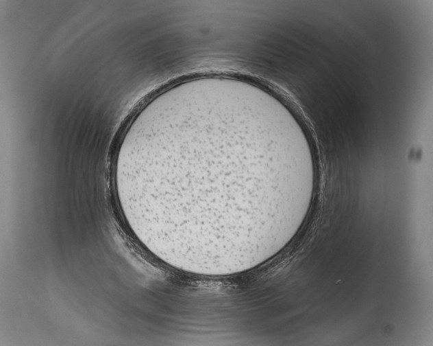 X0000114440439200911131519