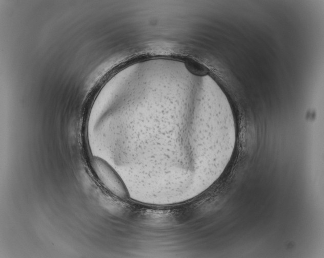 X0000114440440200911131519