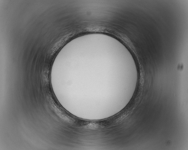 X0000114440441200911131519