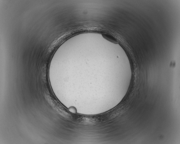 X0000114440442200911131519