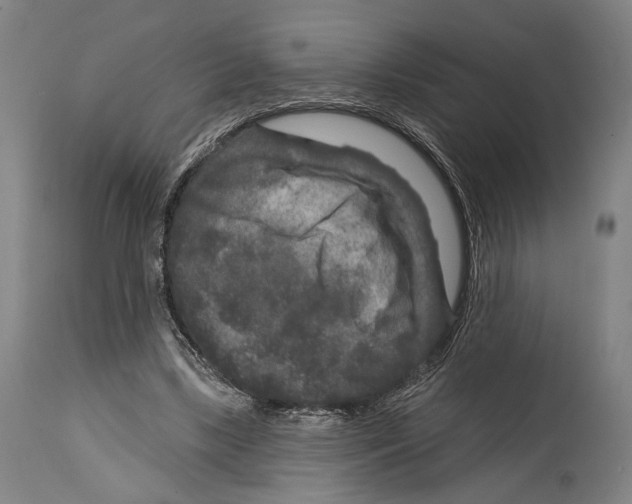 X0000114440443200911131519