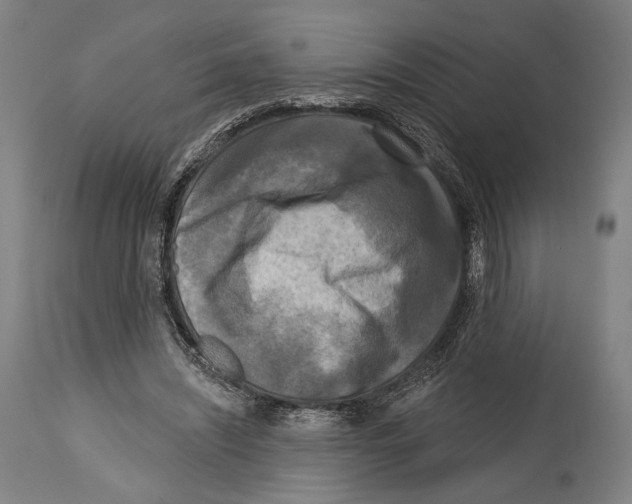 X0000114440444200911131519