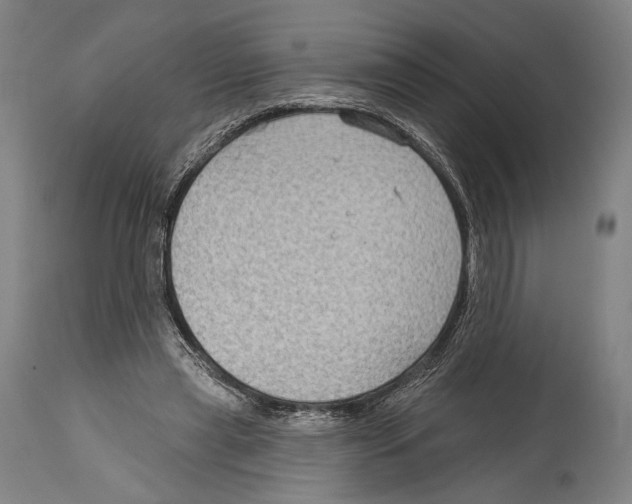 X0000114440445200911131519