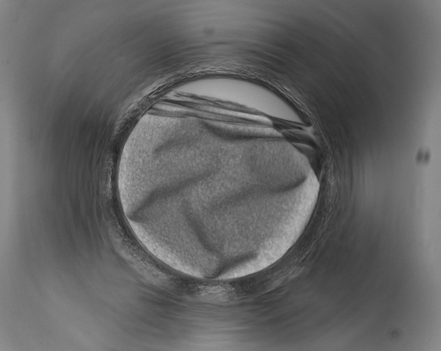 X0000114440446200911131519