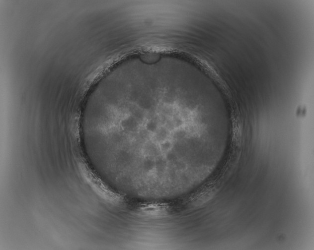 X0000114440447200911131519