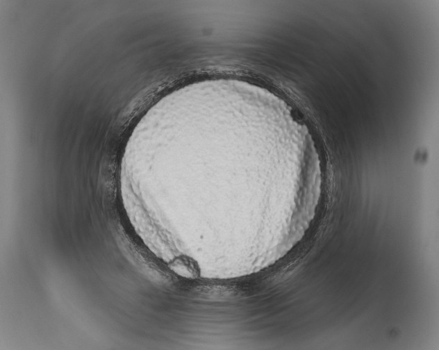 X0000114440449200911131519