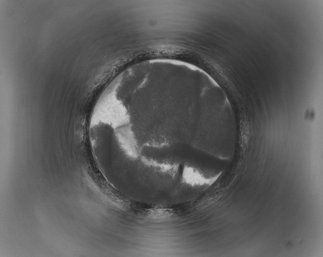 X0000114440451200911131519