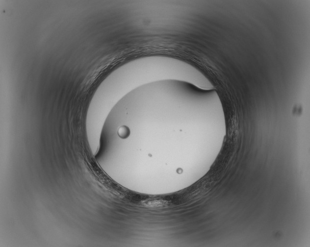 X0000114440452200911131519