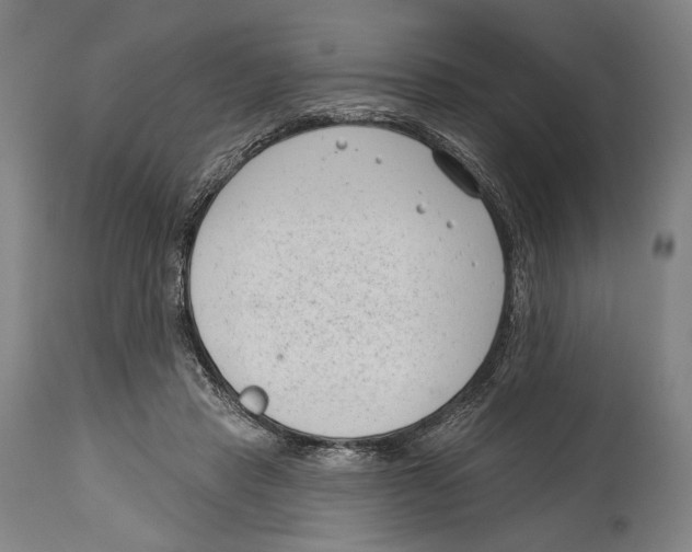 X0000114440453200911131519