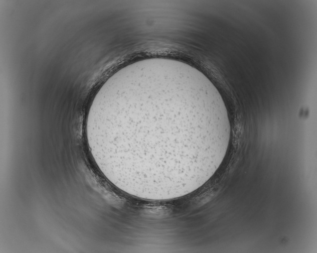 X0000114440454200911131519