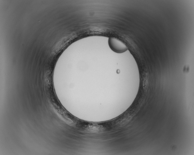 X0000114440455200911131519