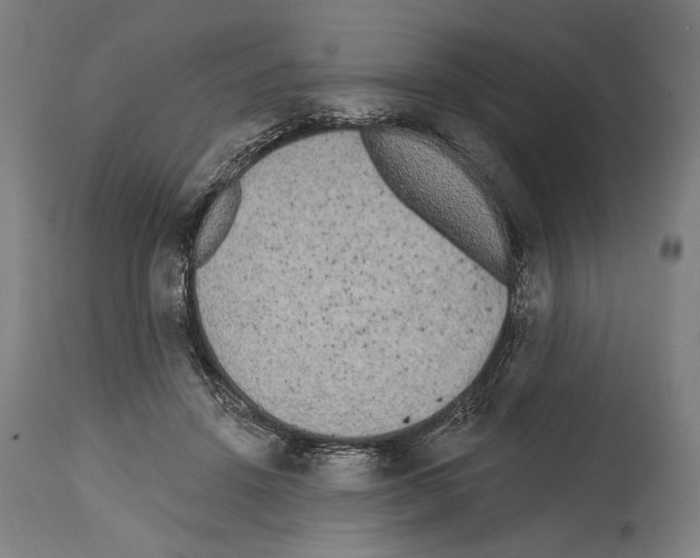 X0000114440456200911131519