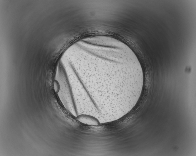 X0000114440457200911131519