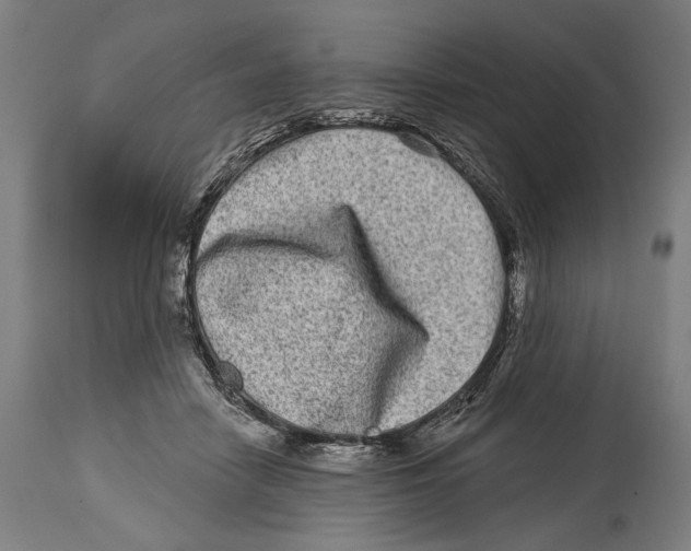 X0000114440458200911131519