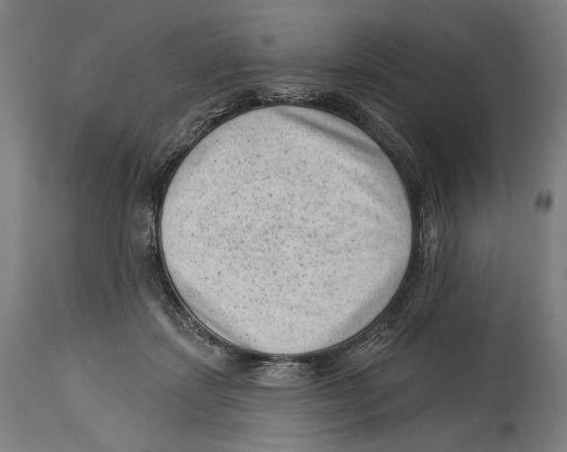 X0000114440459200911131519