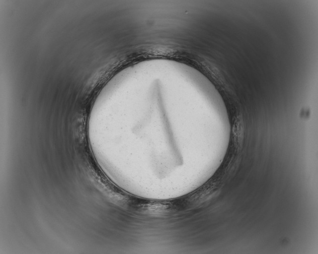 X0000114440462200911131519