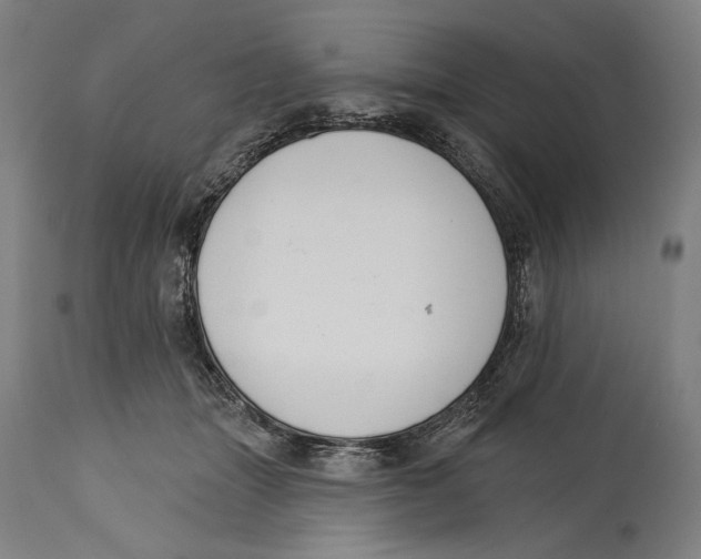 X0000114440463200911131519