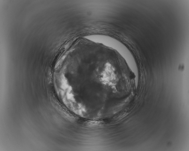 X0000114440465200911131519