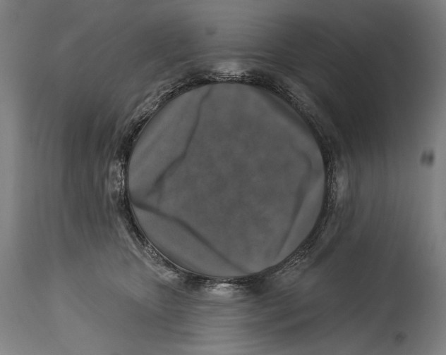 X0000114440467200911131519