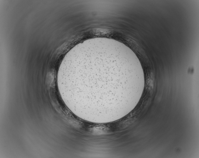 X0000114440468200911131520