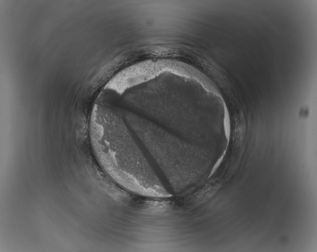 X0000114440469200911131520