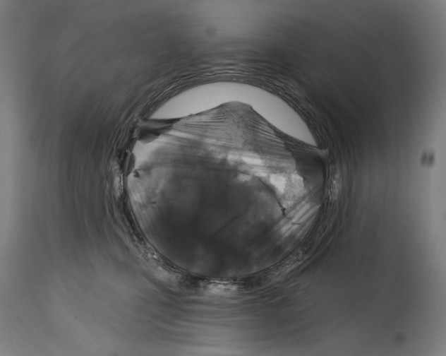 X0000114440471200911131520