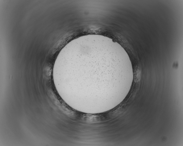 X0000114440472200911131520