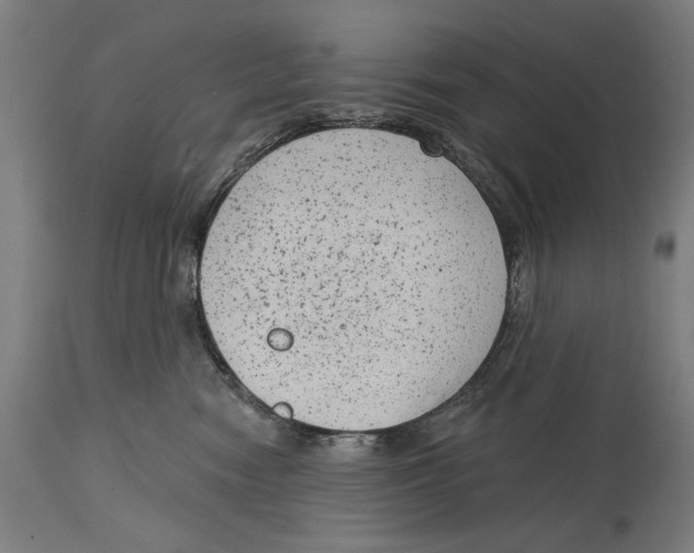 X0000114440474200911131520