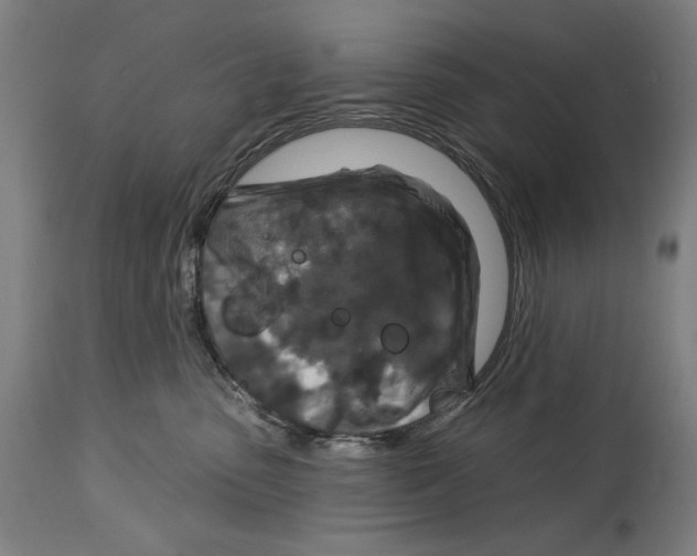 X0000114440475200911131520