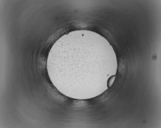 X0000114440476200911131520